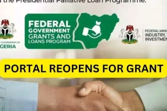 Nigerian small businesses Presidential Conditional Grant Scheme Financial support Growth opportunities
